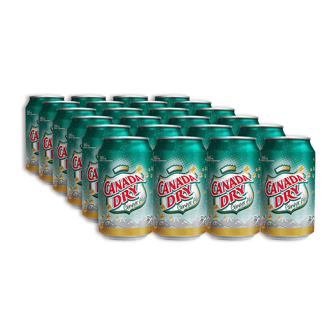 Salvavidas Ginger Ale Lata 24 Caja